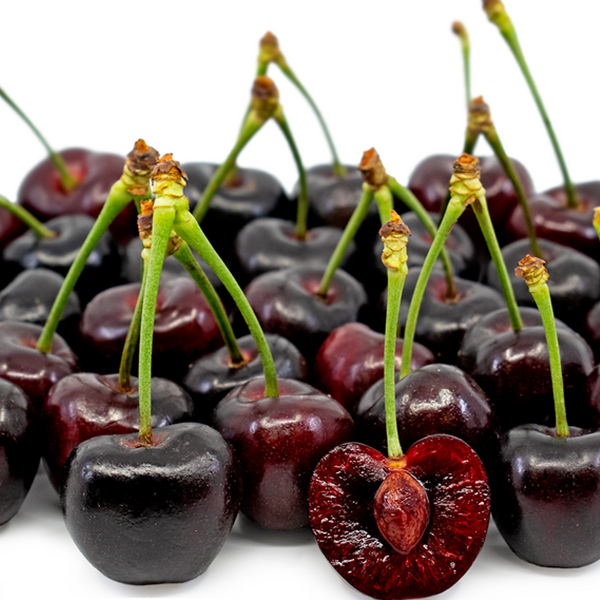 نهال گیلاس تک دانه مشهد