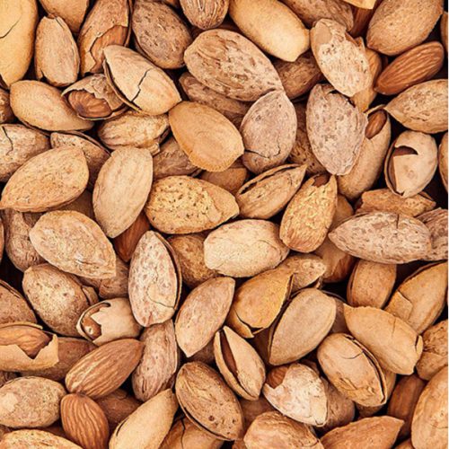 شرایط نگهداری نهال-بادام-کاغذی